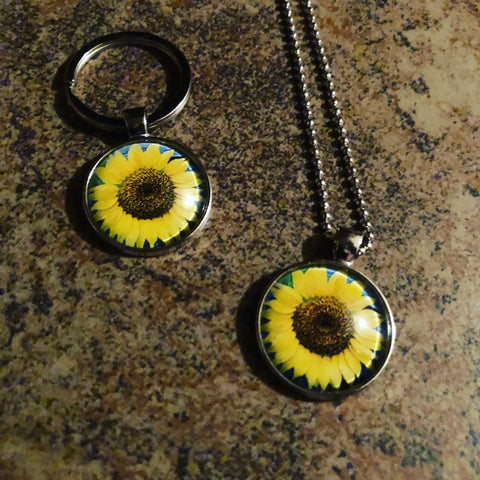 Medallion sunflower
